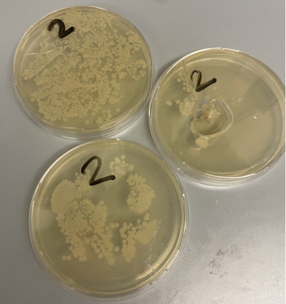 Atelier de Discussion « Voix d&rsquo;Enfants »