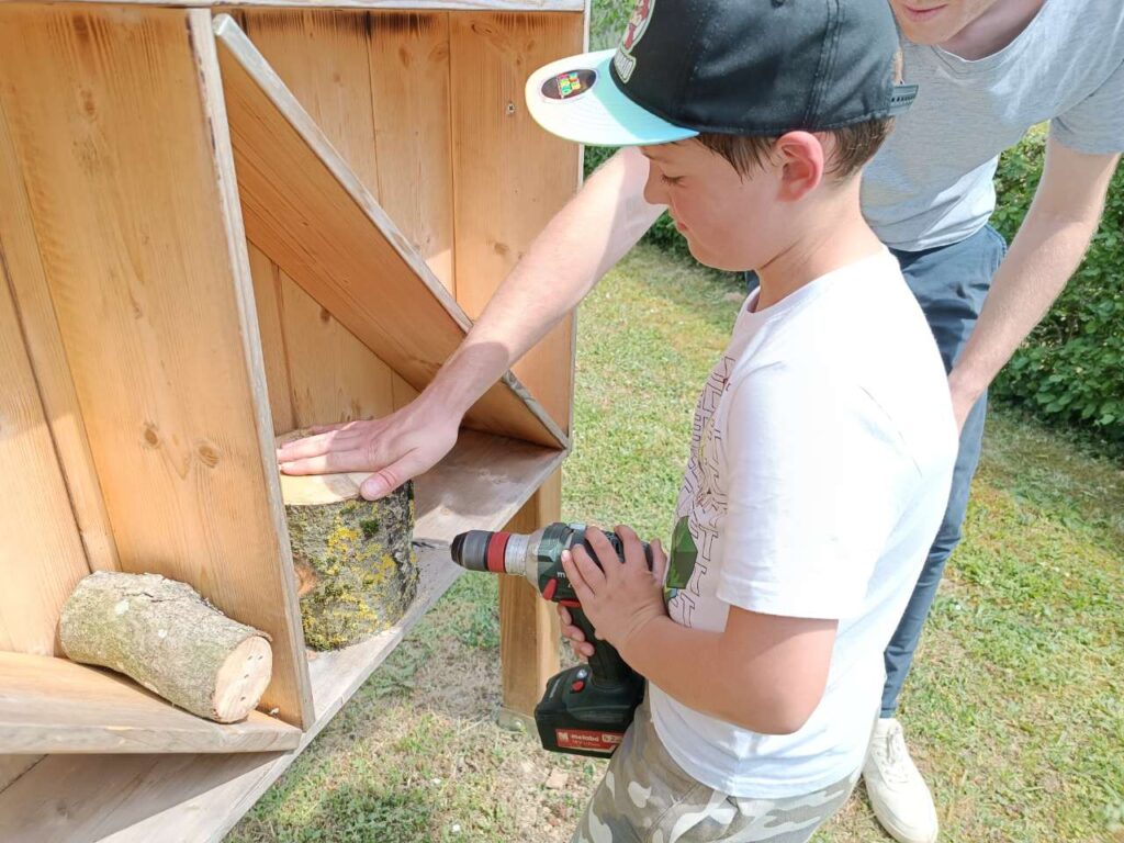 « Beie-Retter » Alles rund um die Biene