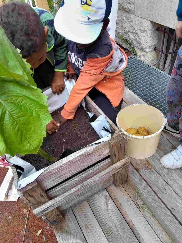 création de potager