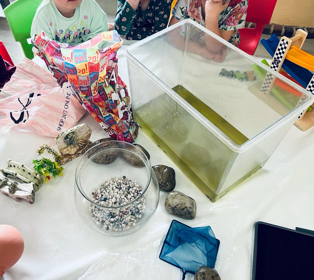 Élevage de grenouilles