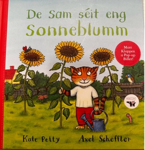 Mär planzen eng Sonnenblumm