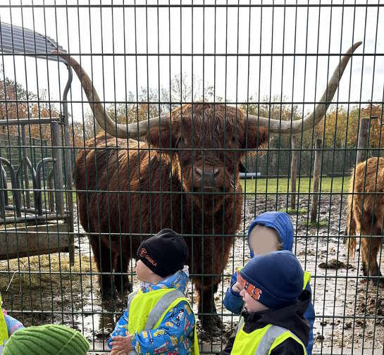 Natur an Déierewelt kenne léieren a respektéieren