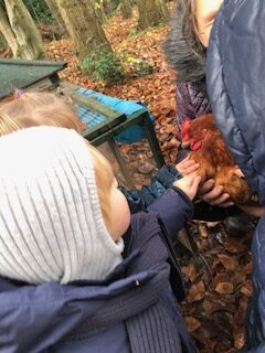 Un poulailler dans notre jardin