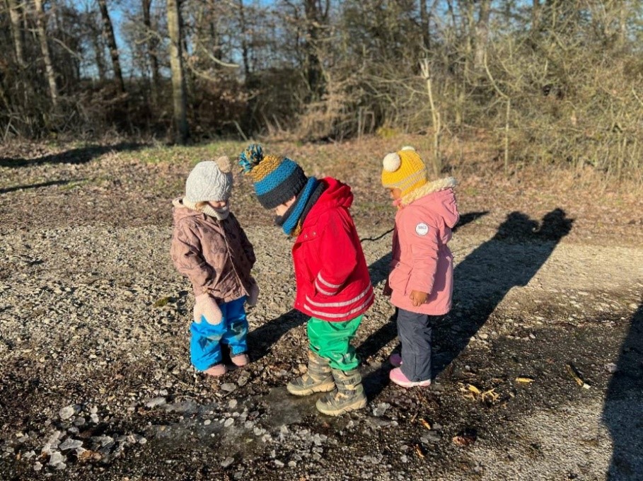 Winterzauber & Frostwald