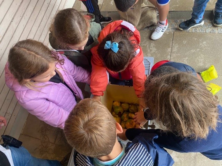 Wir keltern in der Maison Relais